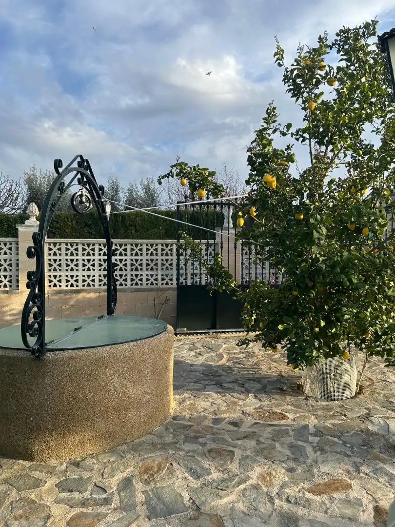 Jardín de Casa o chalet en venta en Jaén con Aire acondicionado, Calefacción y Jardín privado
