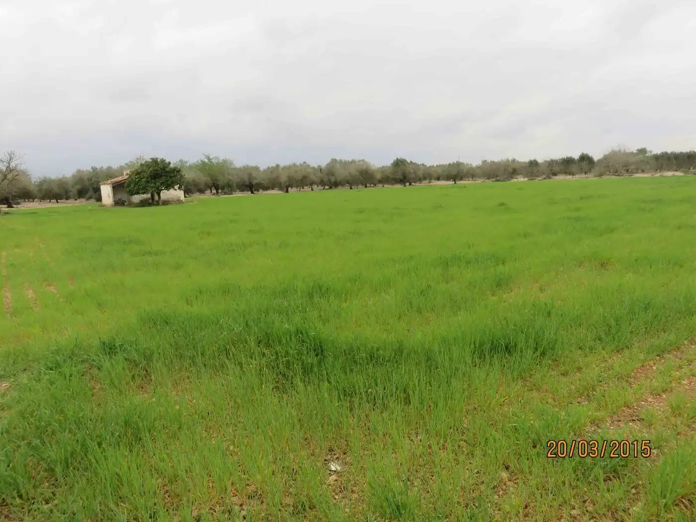 Wohnbaugrundstück zum Verkauf in Camí Miliana 8, imagen 3