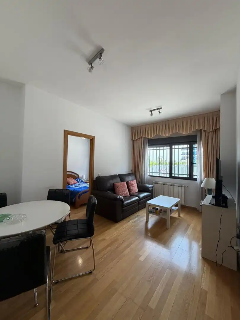 Living room of Flat for rent in  Madrid Capital  with Heating and Furnished