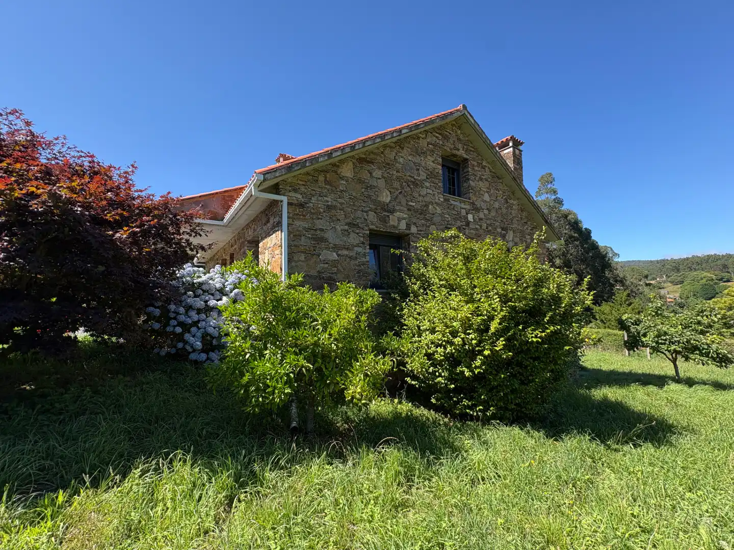 Vista exterior de Casa o chalet en venta en Cedeira con Calefacción, Jardín privado y Horno