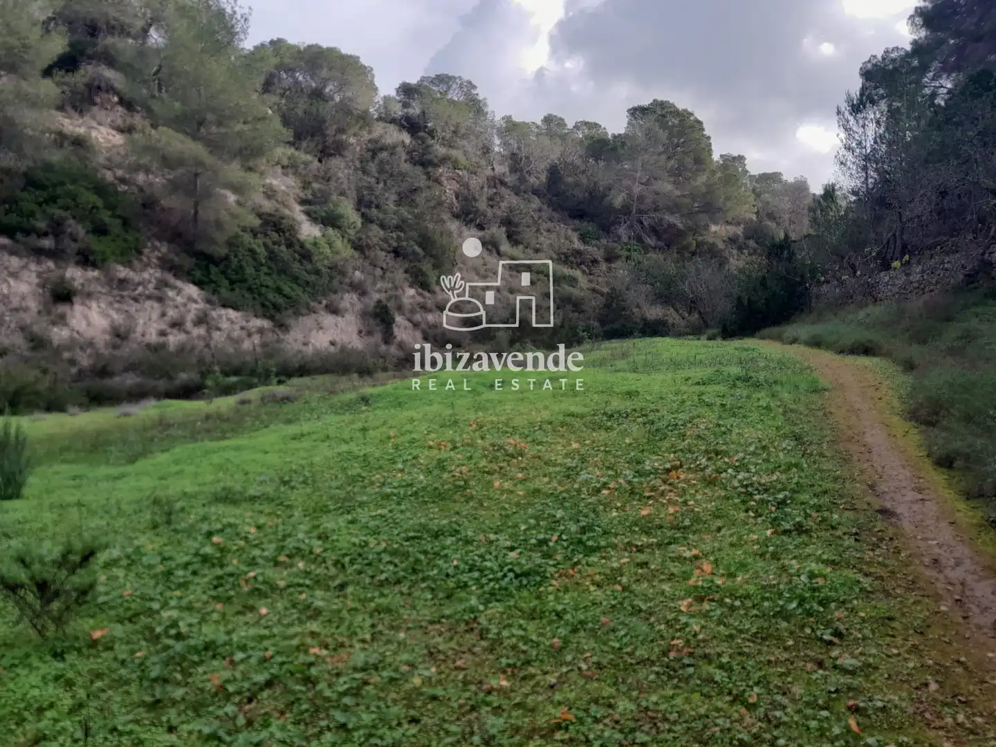 Terreny rústic en venda a de cala tarida, imagen 13