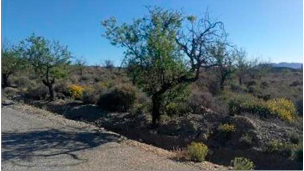 Residential for sale in Huércal-Overa
