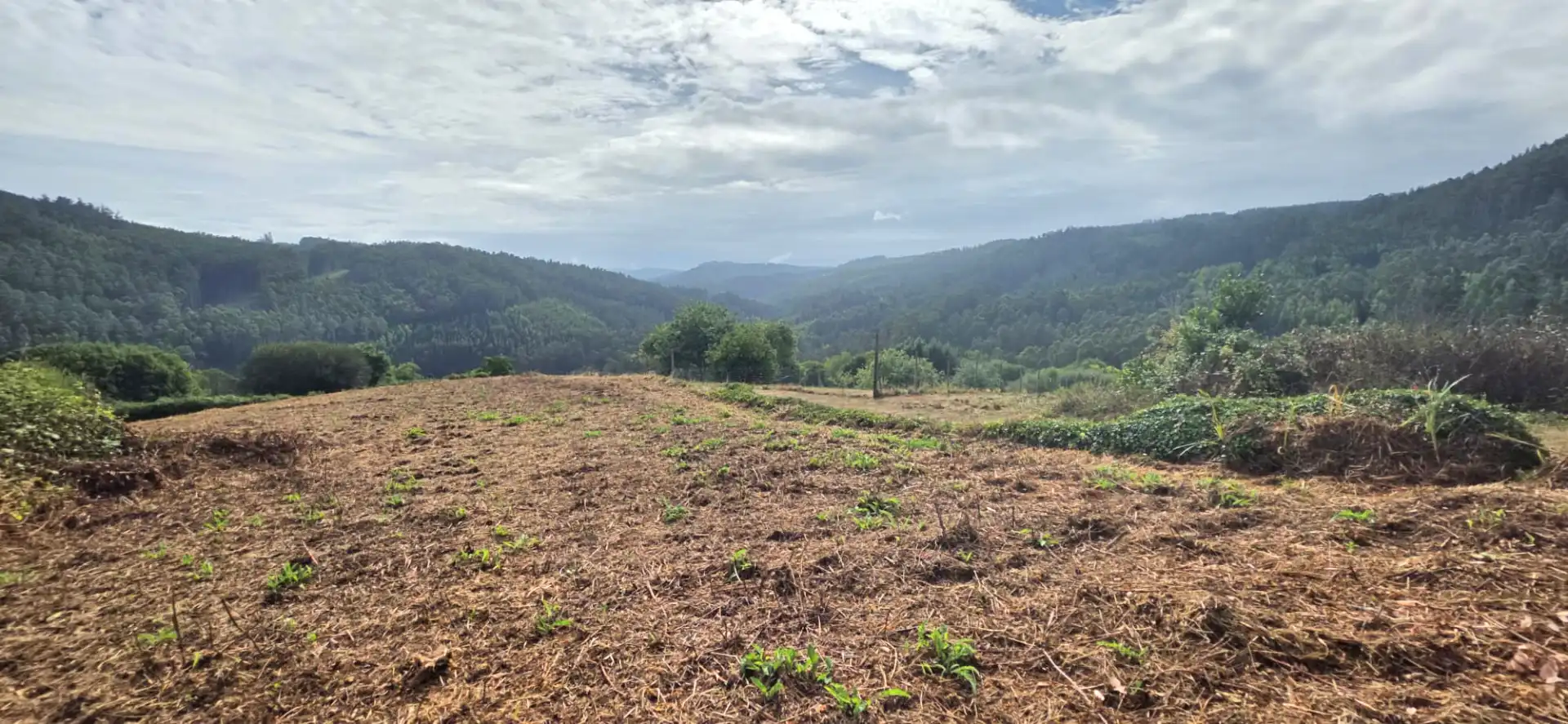 Finca rústica en venda en Valdoviño amb Jardí privat