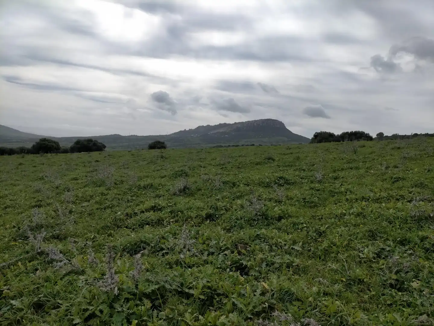 Terreno en venta en Tarifa