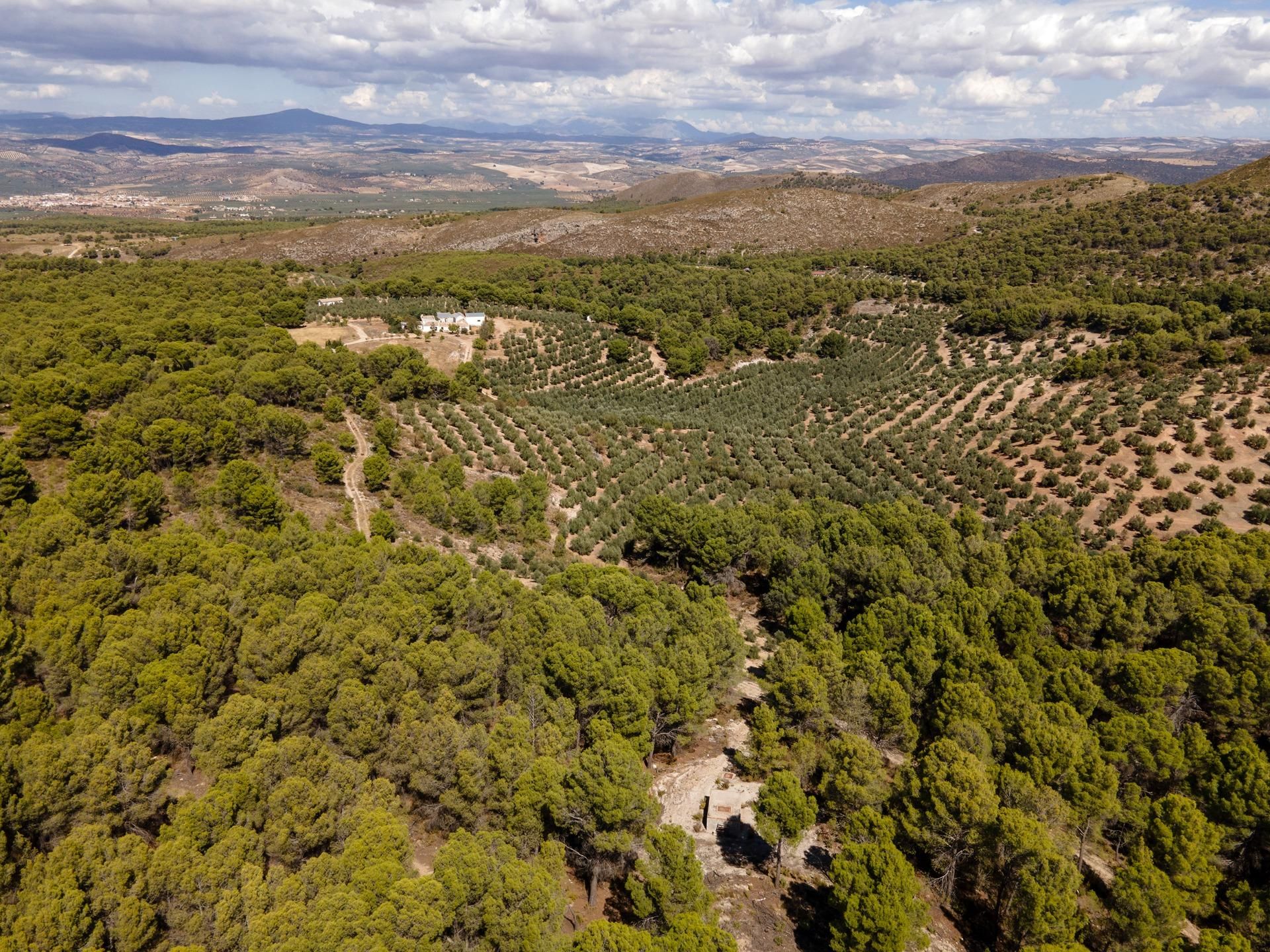 Country house zum verkauf in Iznalloz