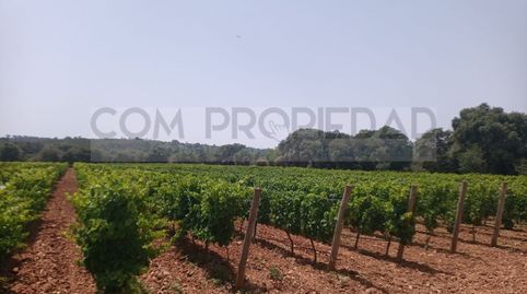 Foto 4 de Casa o xalet en venda a Costitx, Illes Balears