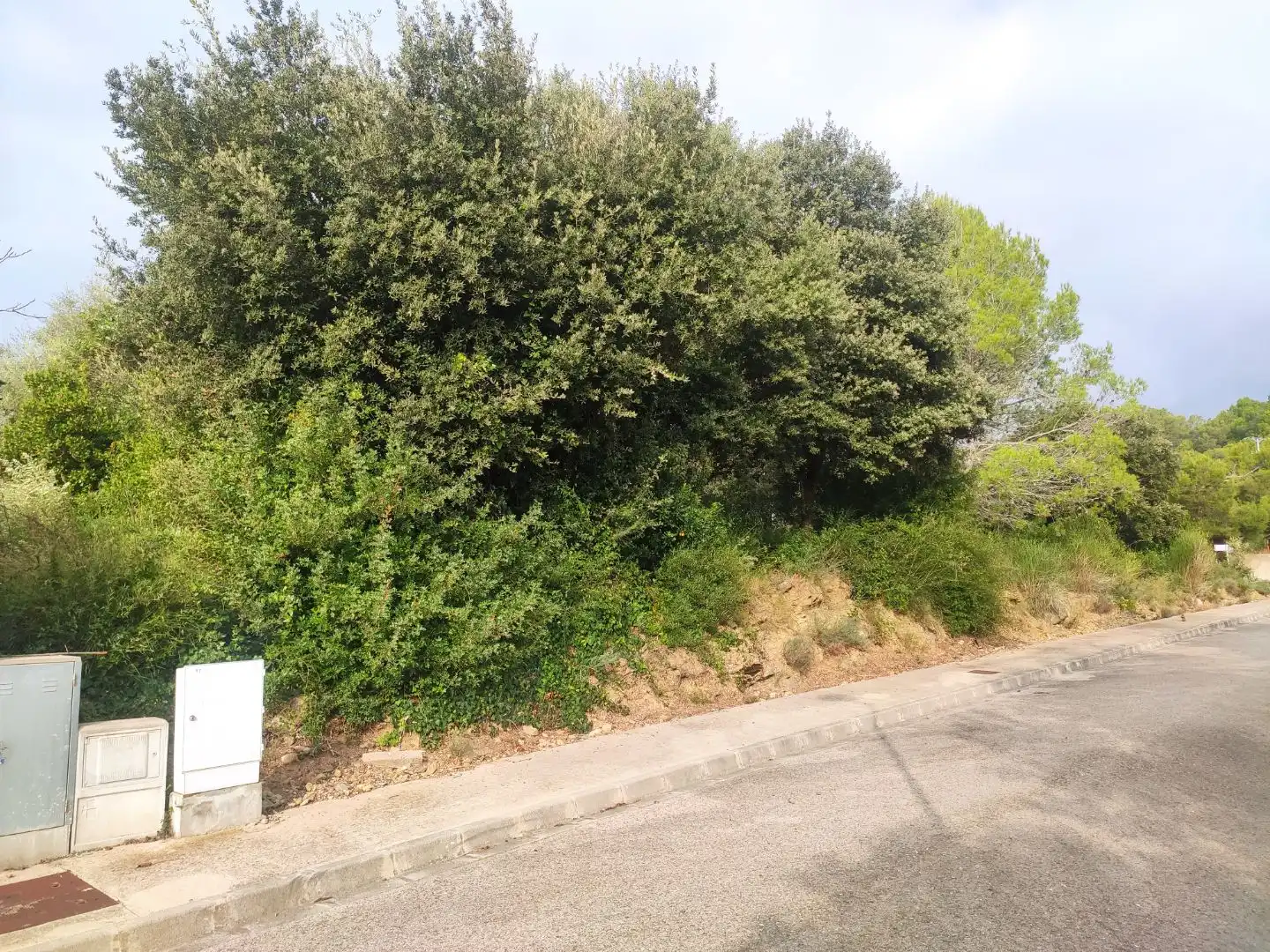 Terreny residencial en venda a Urbanitzacio Vall de Llemena 125