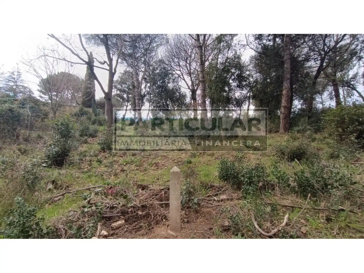 Terreny residencial en venda a Calle Joan Pau 15, imagen 20
