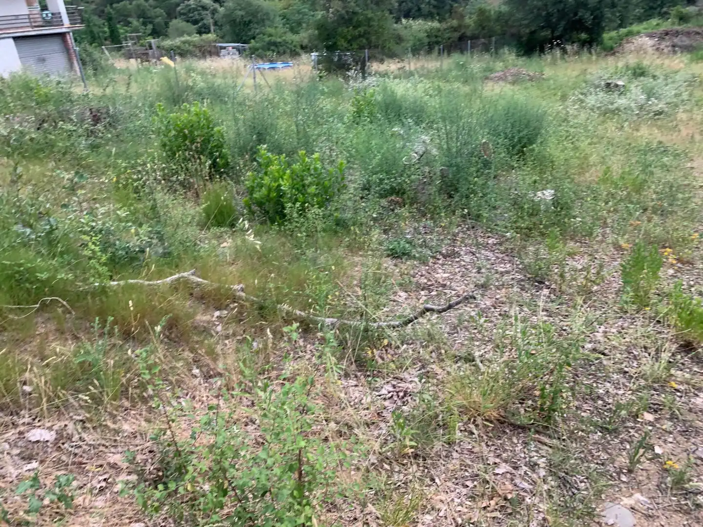 Terreny residencial en venda a Riells i Viabrea, imagen 7