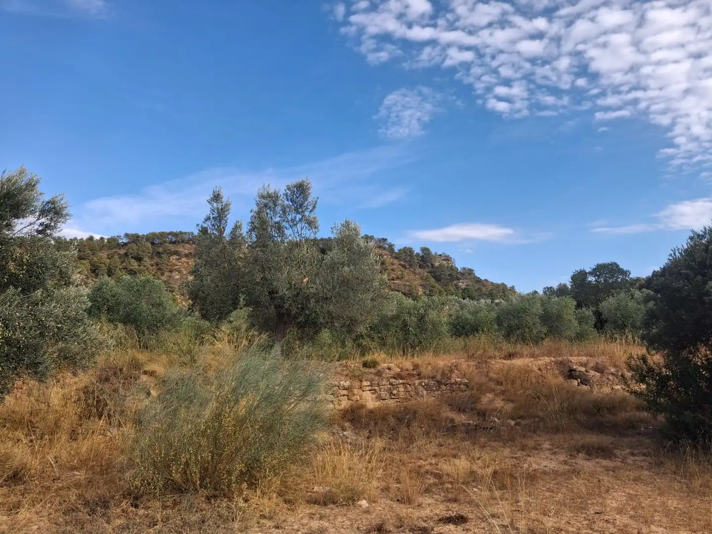 Chalet en venta en Polígono 5 Paraje 127 334, imagen 25