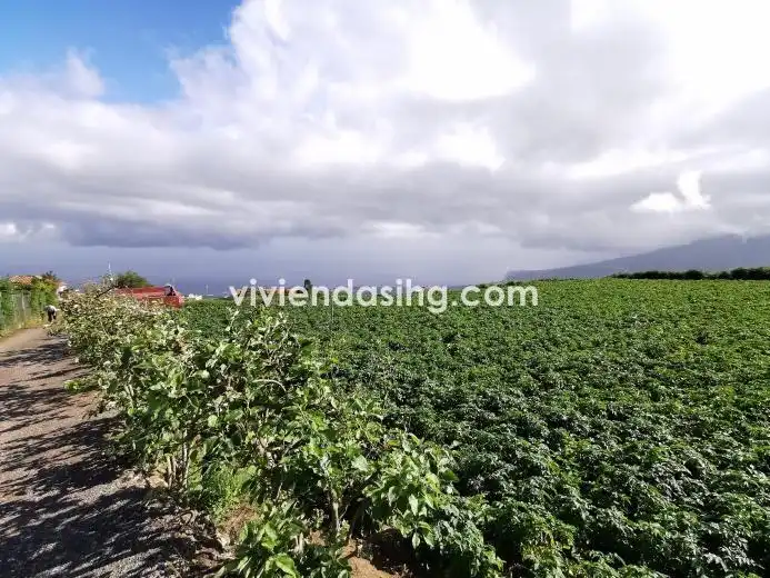 Terreno rustico in vendita a La Perdoma - San Antonio - Benijos, imagen 3