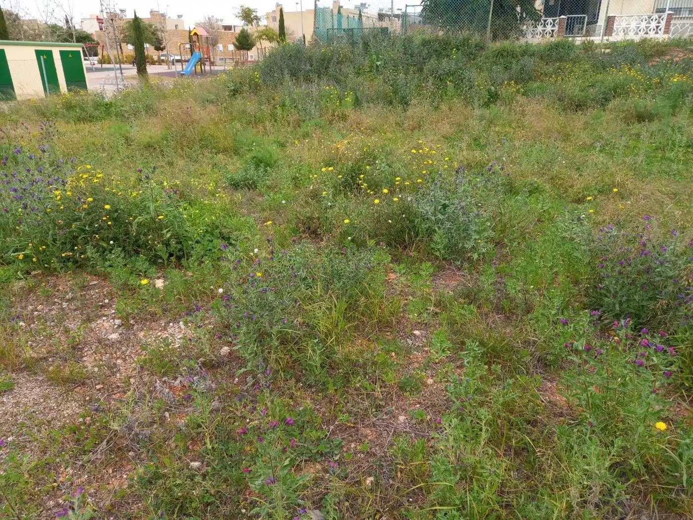 Wohnbaugrundstück zum Verkauf in Cartagena ciudad, imagen 9