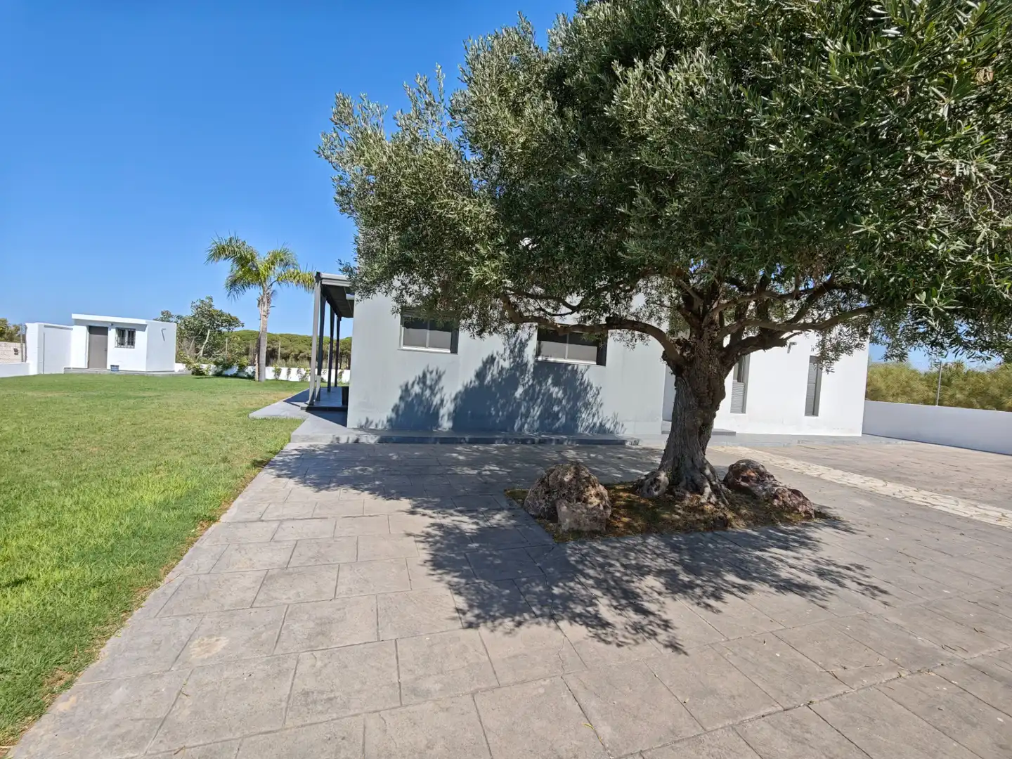Houses for rent in Cuatro Pinos - El Carmen