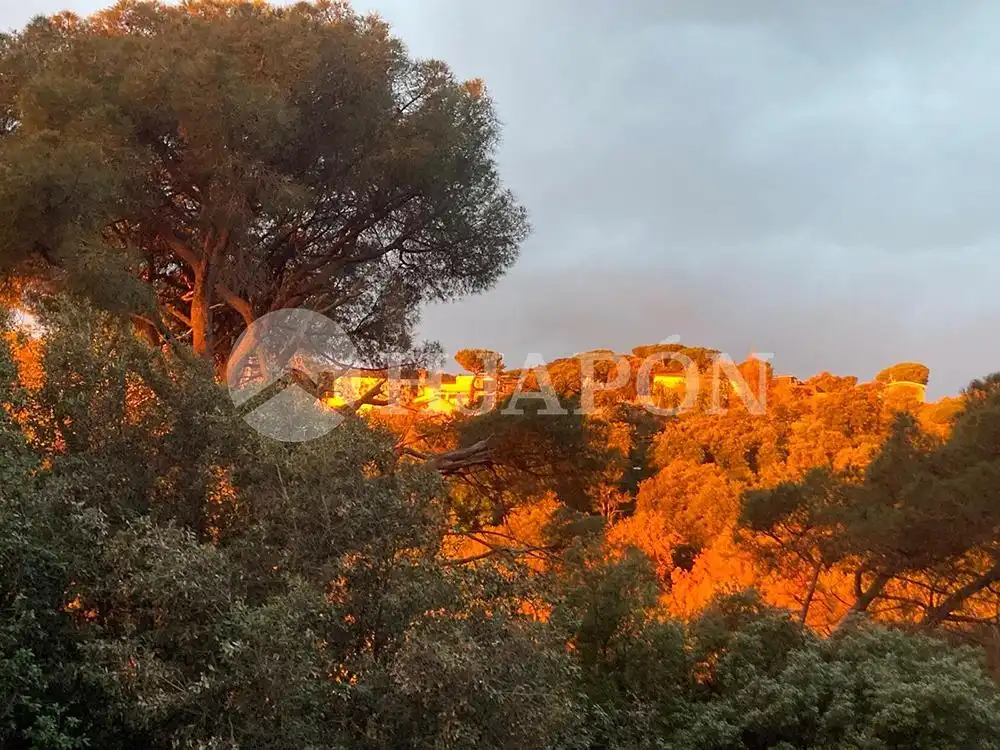 Garden of Houses for sale in Alella, Barcelona