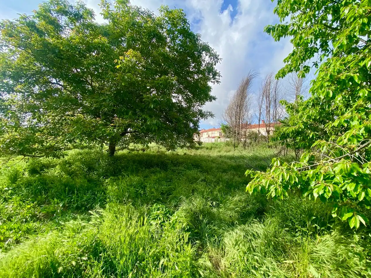 Casa o chalet en venta en Corral de Calatrava con Aire acondicionado, Calefacción y Jardín privado