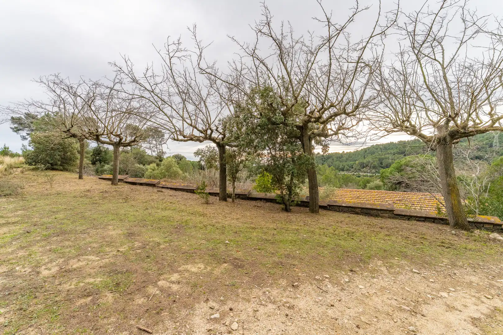 Finca rústica en venda en Les Borges del Camp amb Jardí privat, Terrassa i Traster