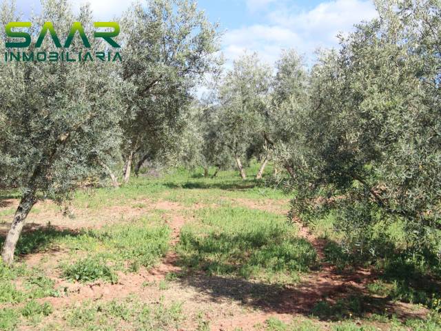 Terreno en Venta en Calicasas