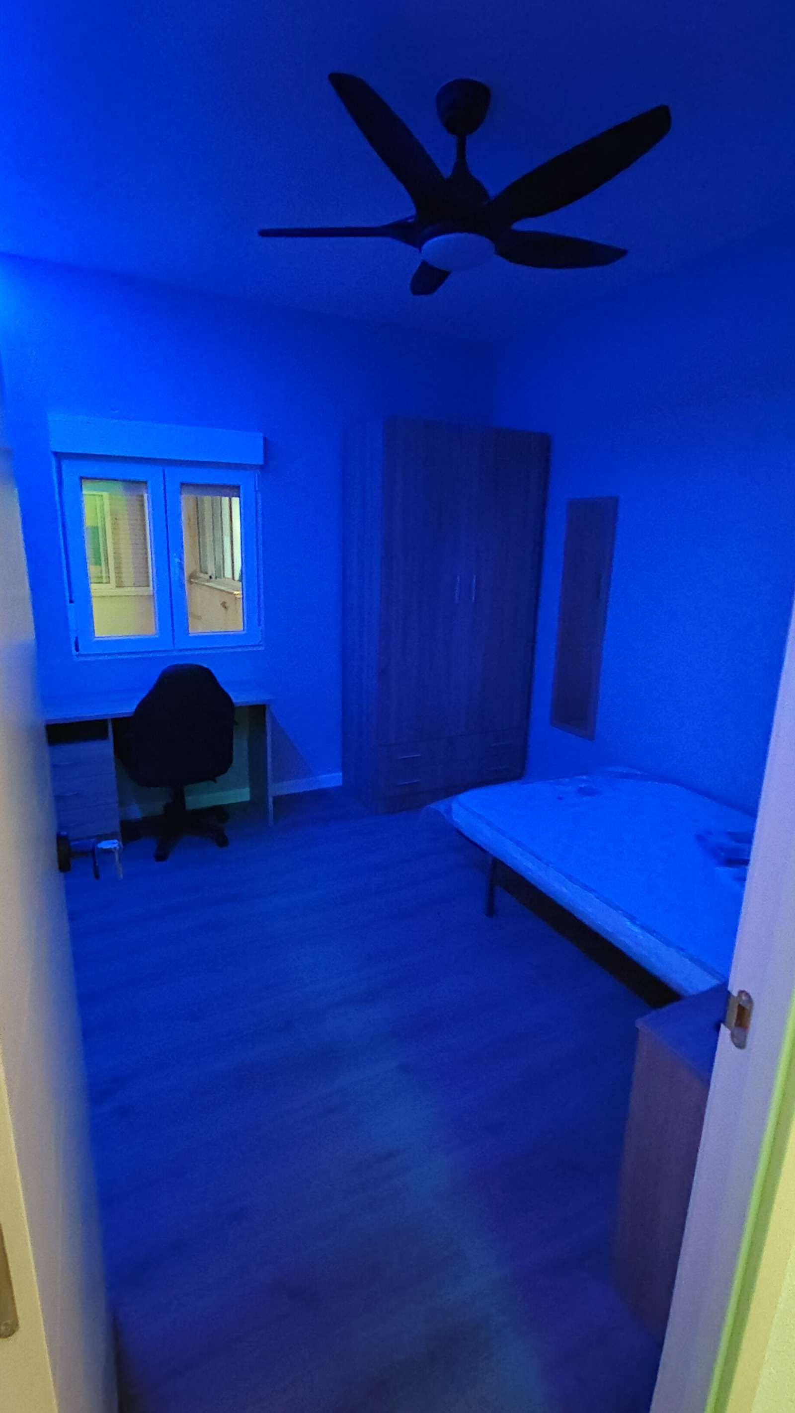 Pis per a compartir a San Ginés