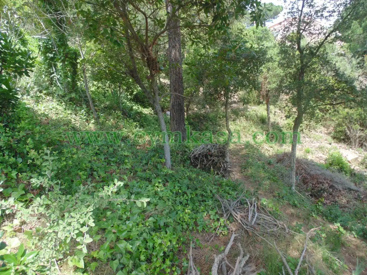 Rustikales Grundstück zum Verkauf in Serra Brava, imagen 3