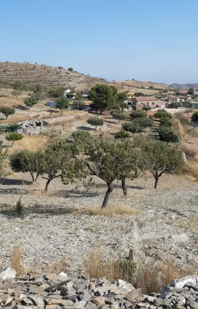 Casa con giardino in vendita a Pedanías Oeste, imagen 31