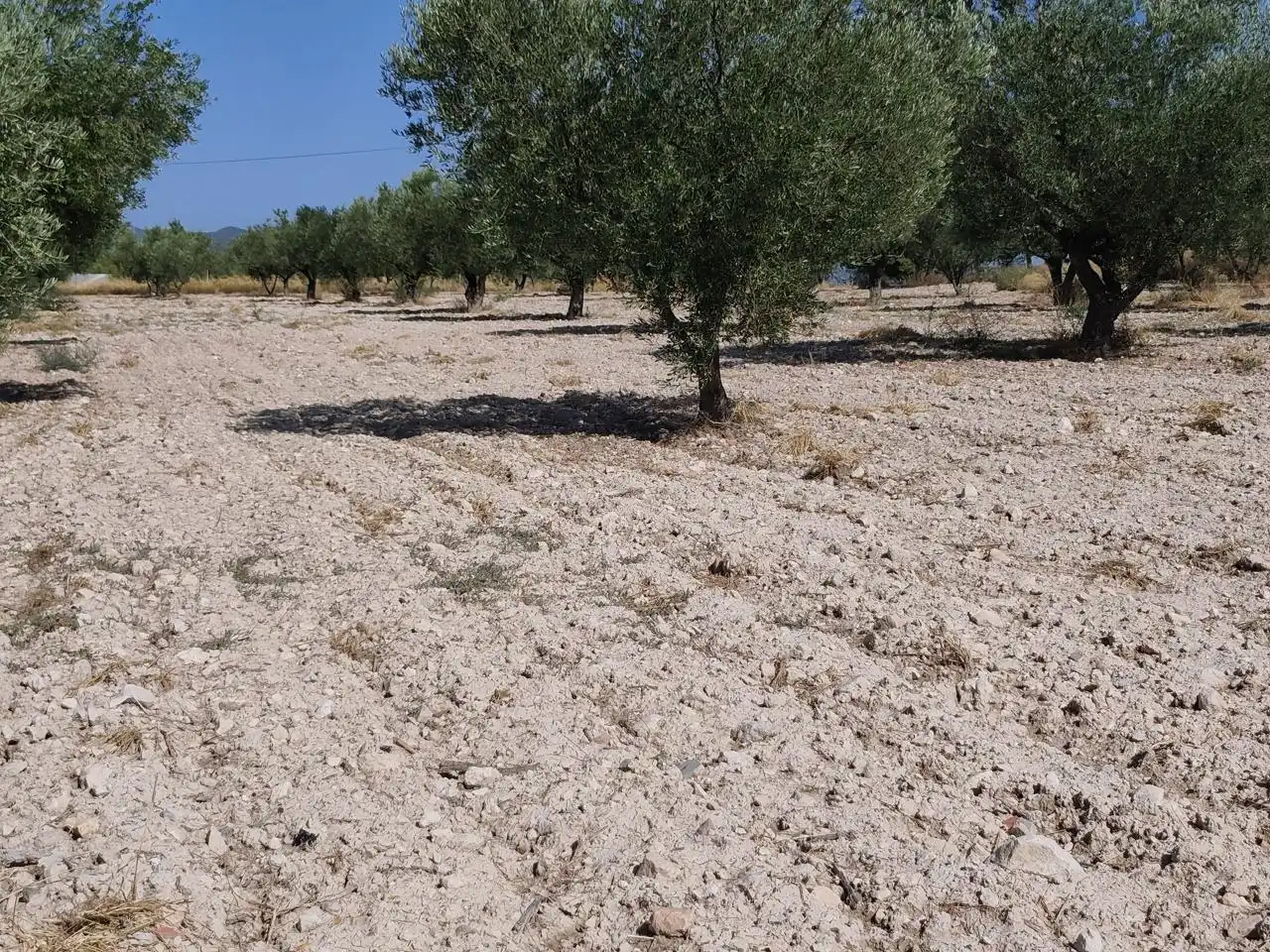 Terreno rustico in vendita a Castalla, imagen 11