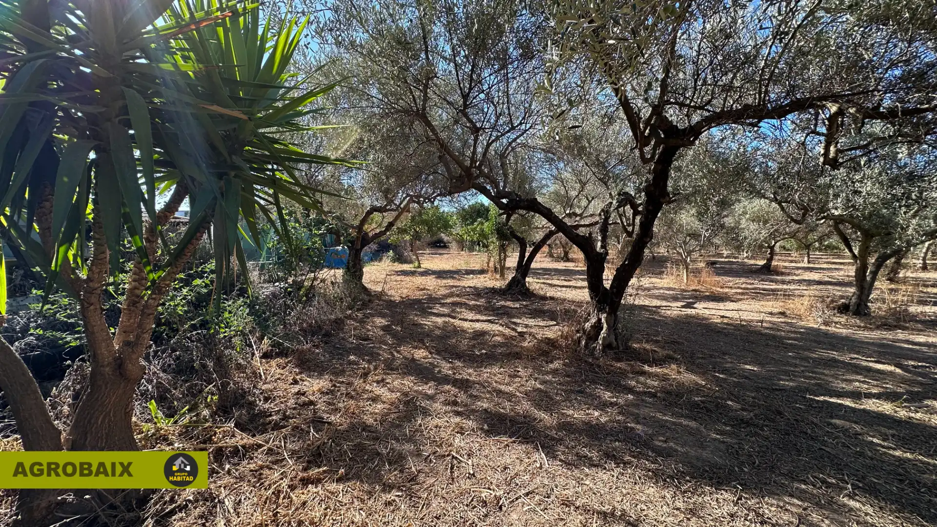 Rural land for sale in BV-2002 114, imagen 19