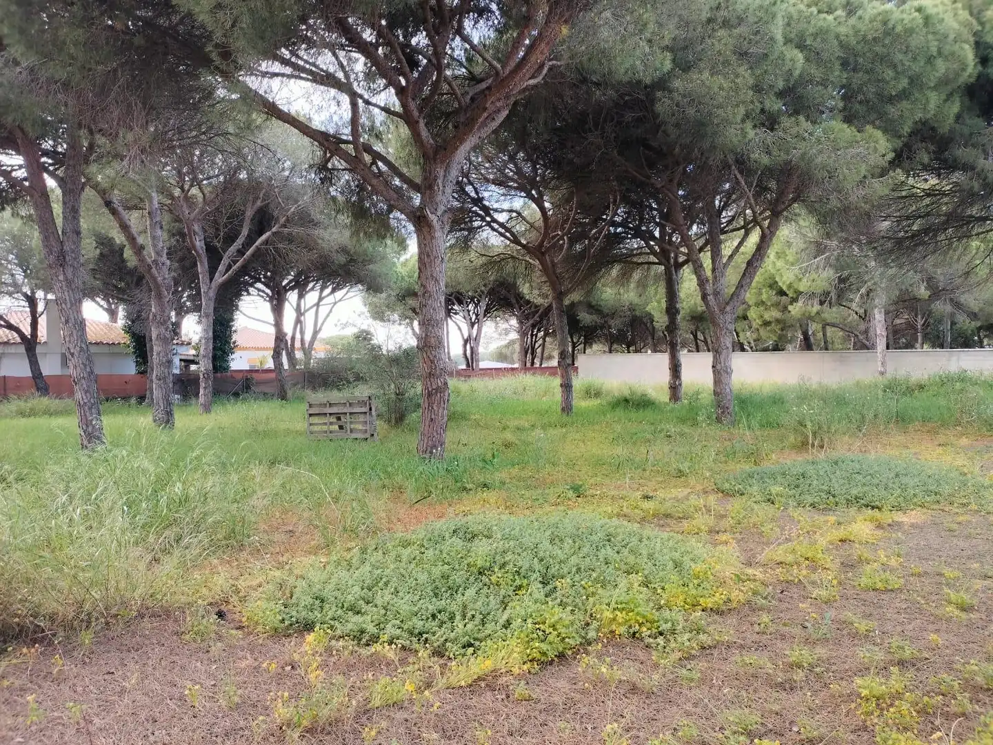 Terreno residencial en venta en Las Lagunas - Campano, imagen 2