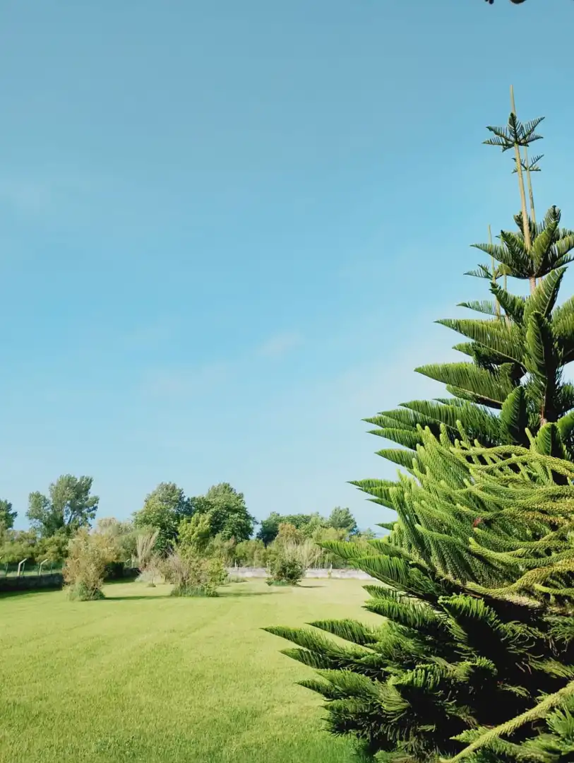 Jardí de Residencial en venda en Laredo