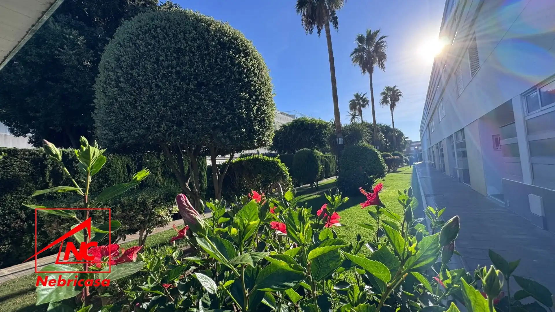 Appartement avec terrasse à vendre à Costa Ballena - Largo Norte, imagen 28