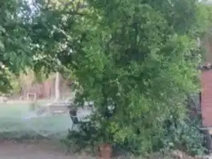 Casa amb piscina en venda a Rusia, imagen 33