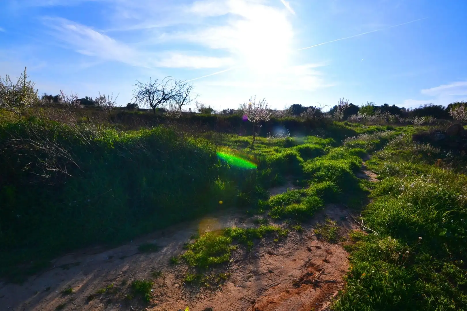 Rural land for sale in Gandesa, imagen 27