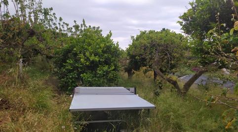 Foto 3 de Finca rústica en venda a N/a, -1, Capistrano, Málaga