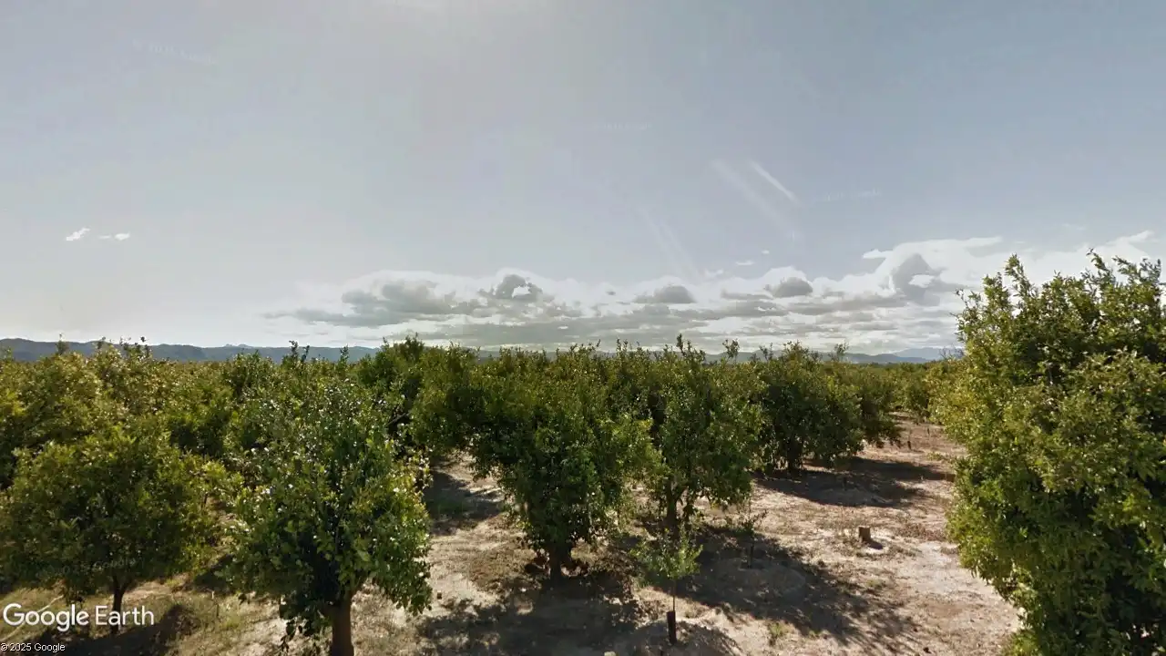 Terreno rustico in vendita a Partida de Passicos 124