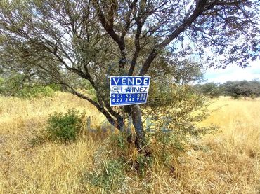 Lands and plots for sale in Villaharta
