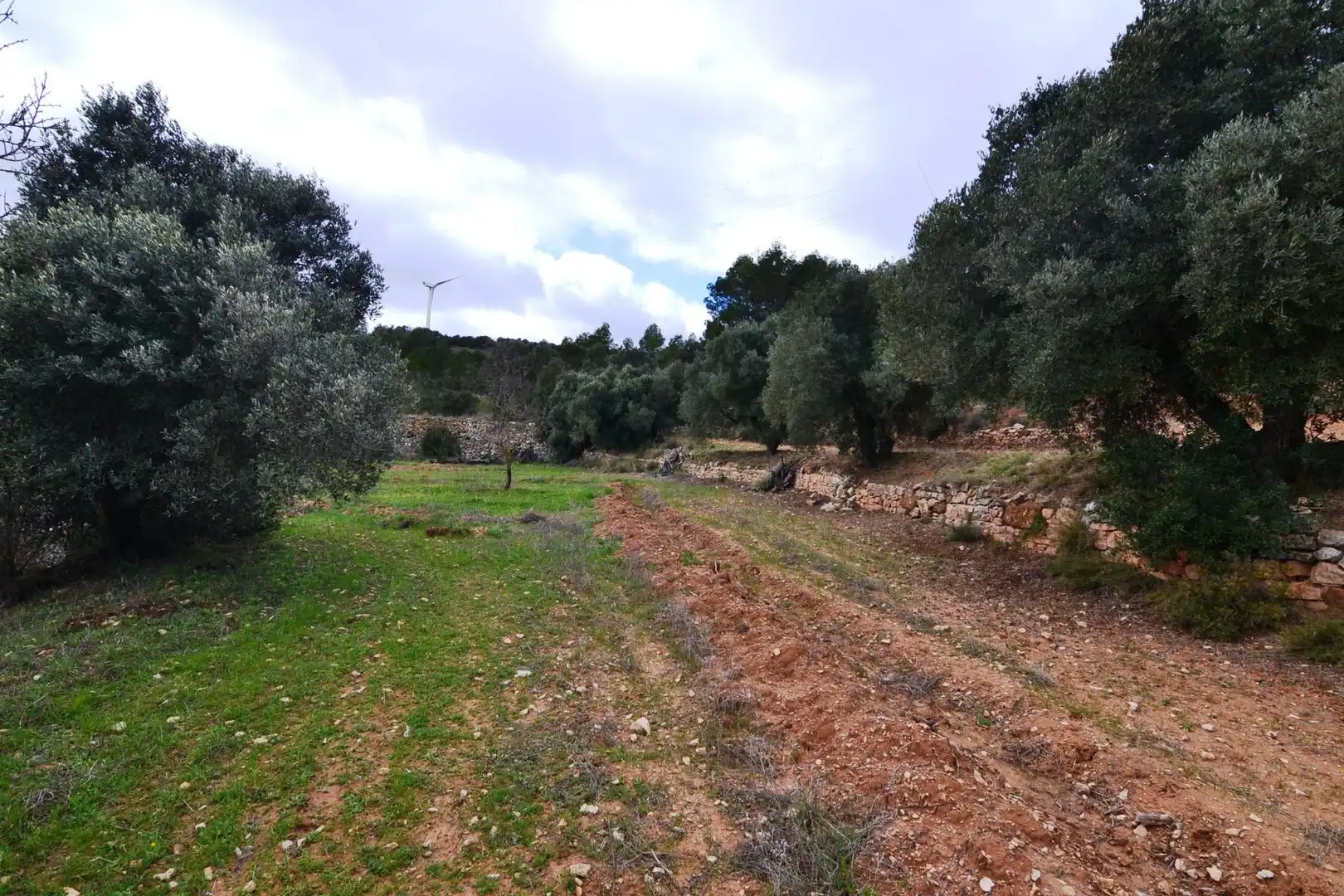 Terreno en venta en Vilalba dels Arcs