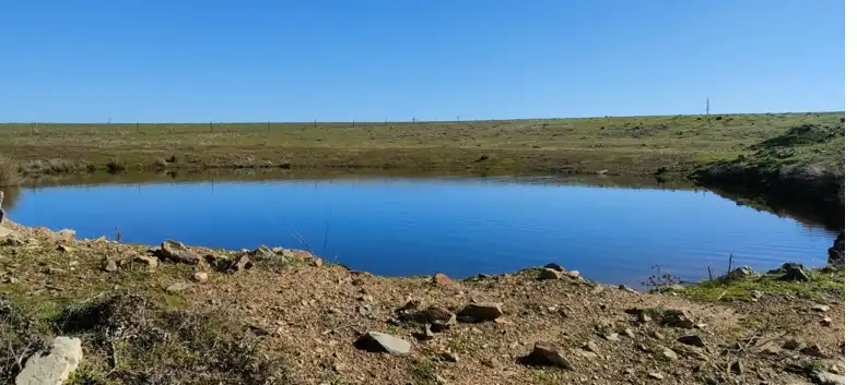 Terreno en venta en Talarrubias