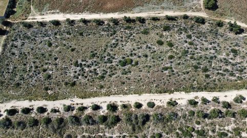 Foto 5 de Terreno en venta en Vial Camino, 9999, Vila-seca Poble, Vila-seca