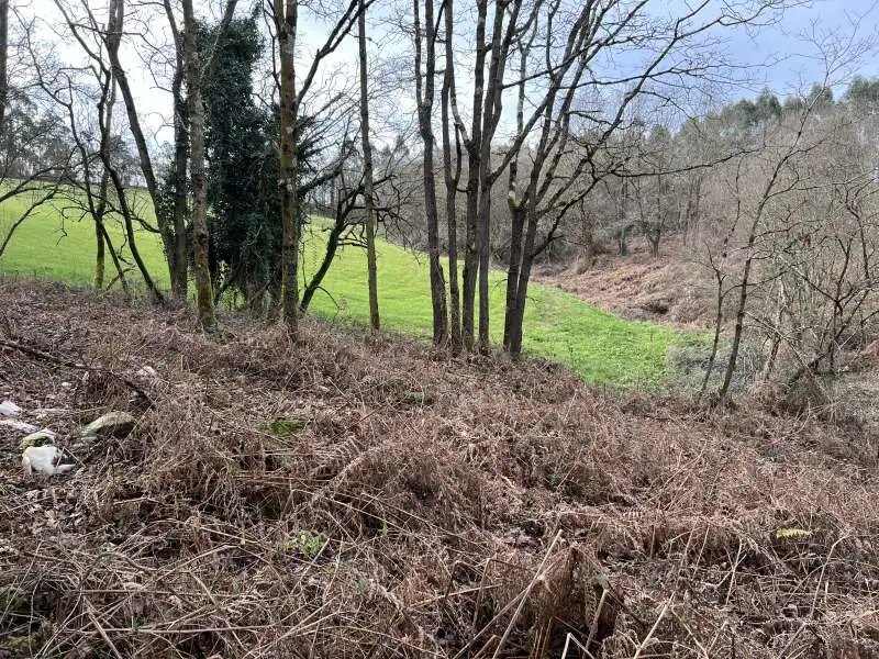 Terreni e lotti in vendita a Parroquias Norte, imagen 11