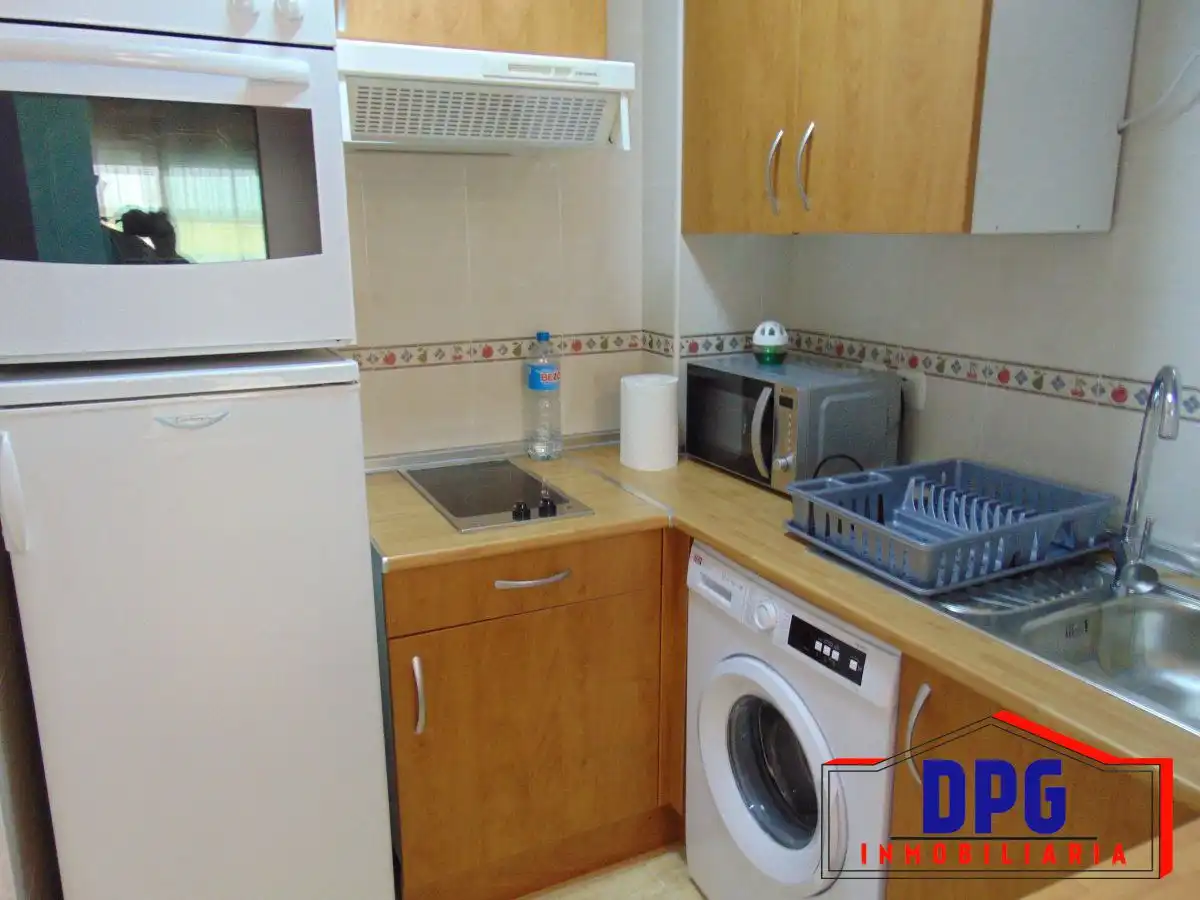 Kitchen of Apartments for sale in Garrucha  with Terrace, Storage room and Furnished