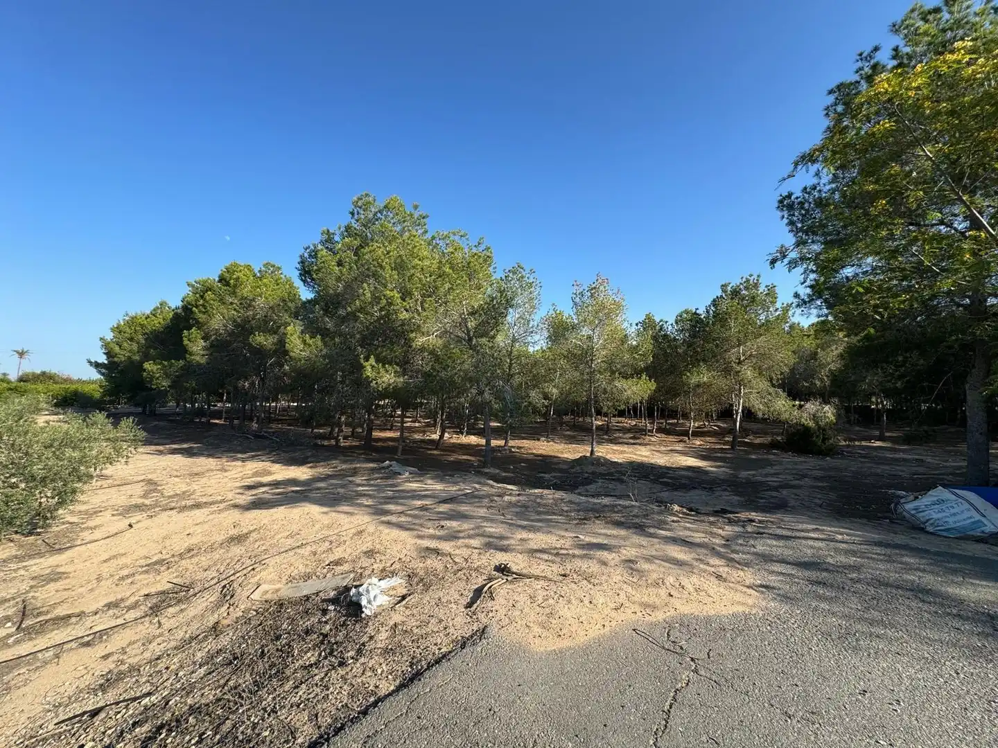 Villa à vendre à Partida Polígono 62 Parcela 80 DAIMES. ELCHE/ELX (ALICANT 62, imagen 24