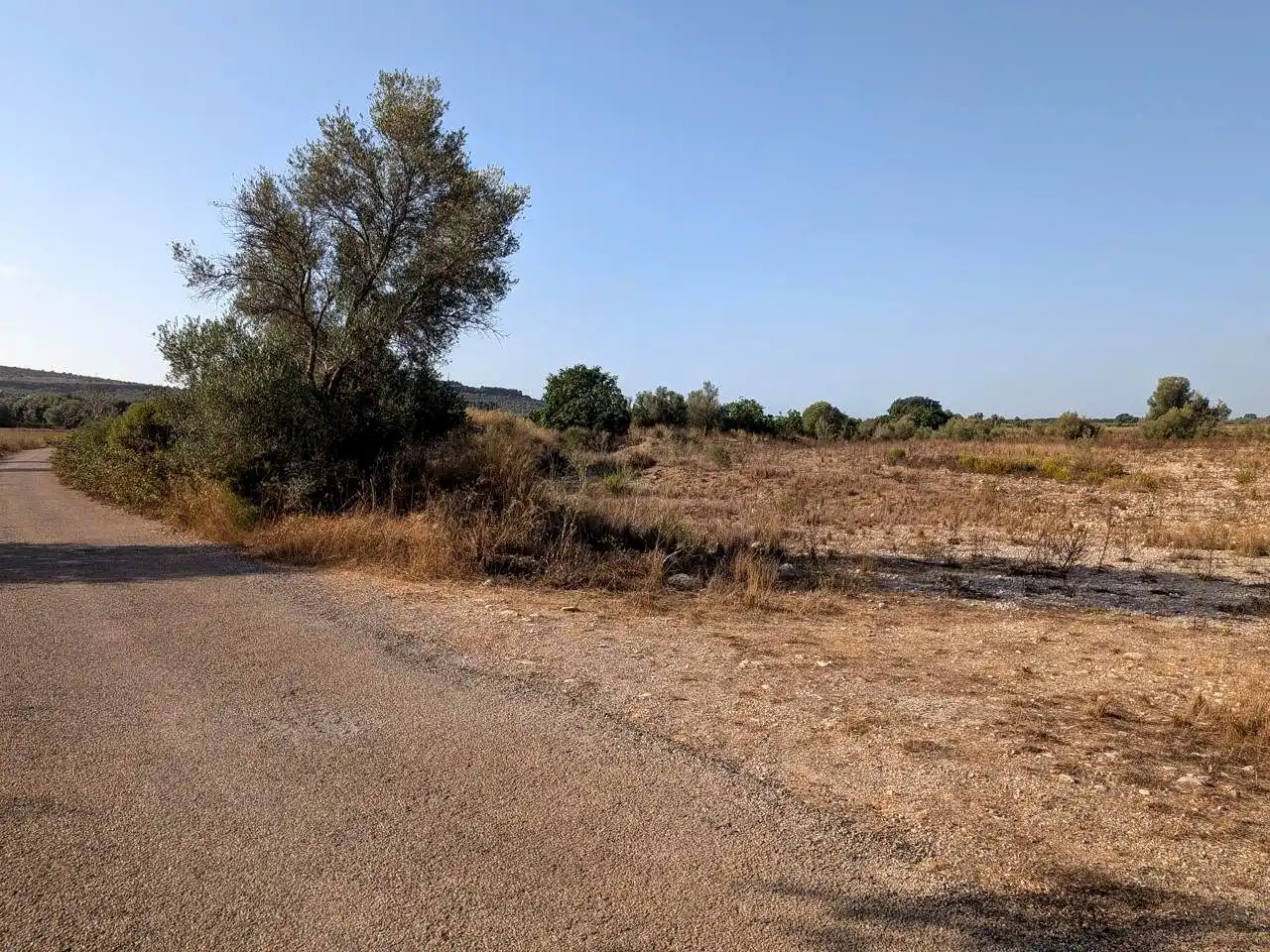 Terreny rústic en venda a El Pou Joa