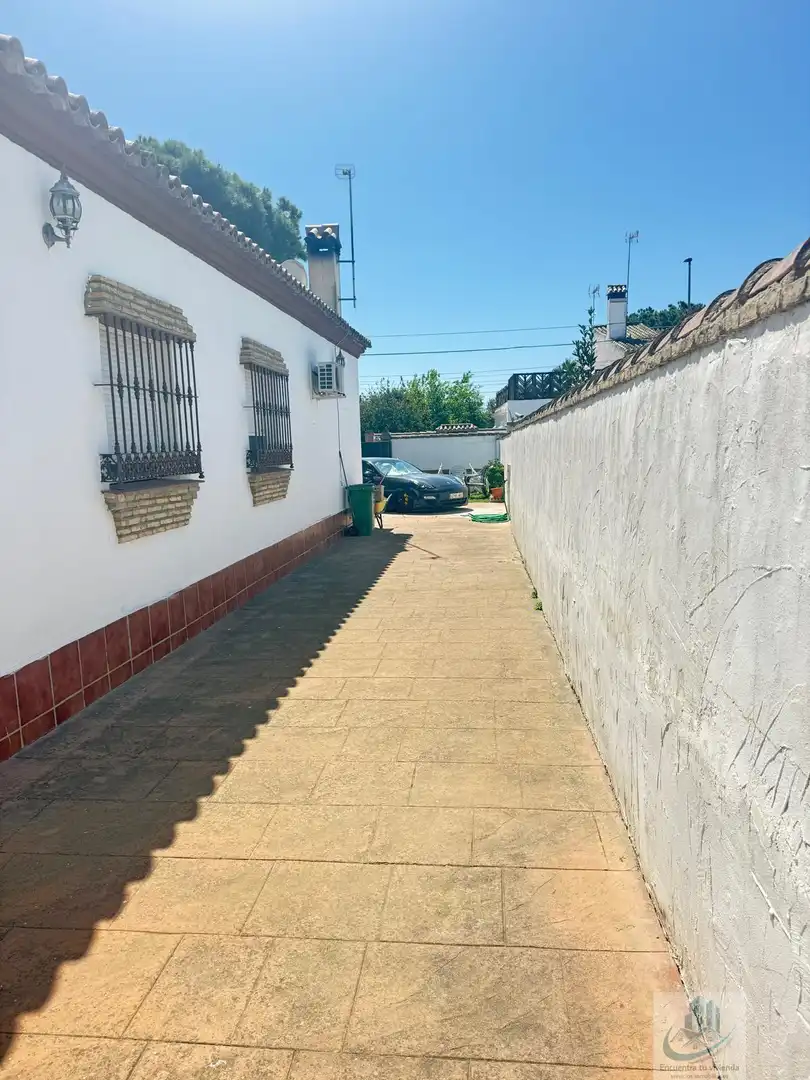 Villa à vendre à Los Gallos, imagen 12