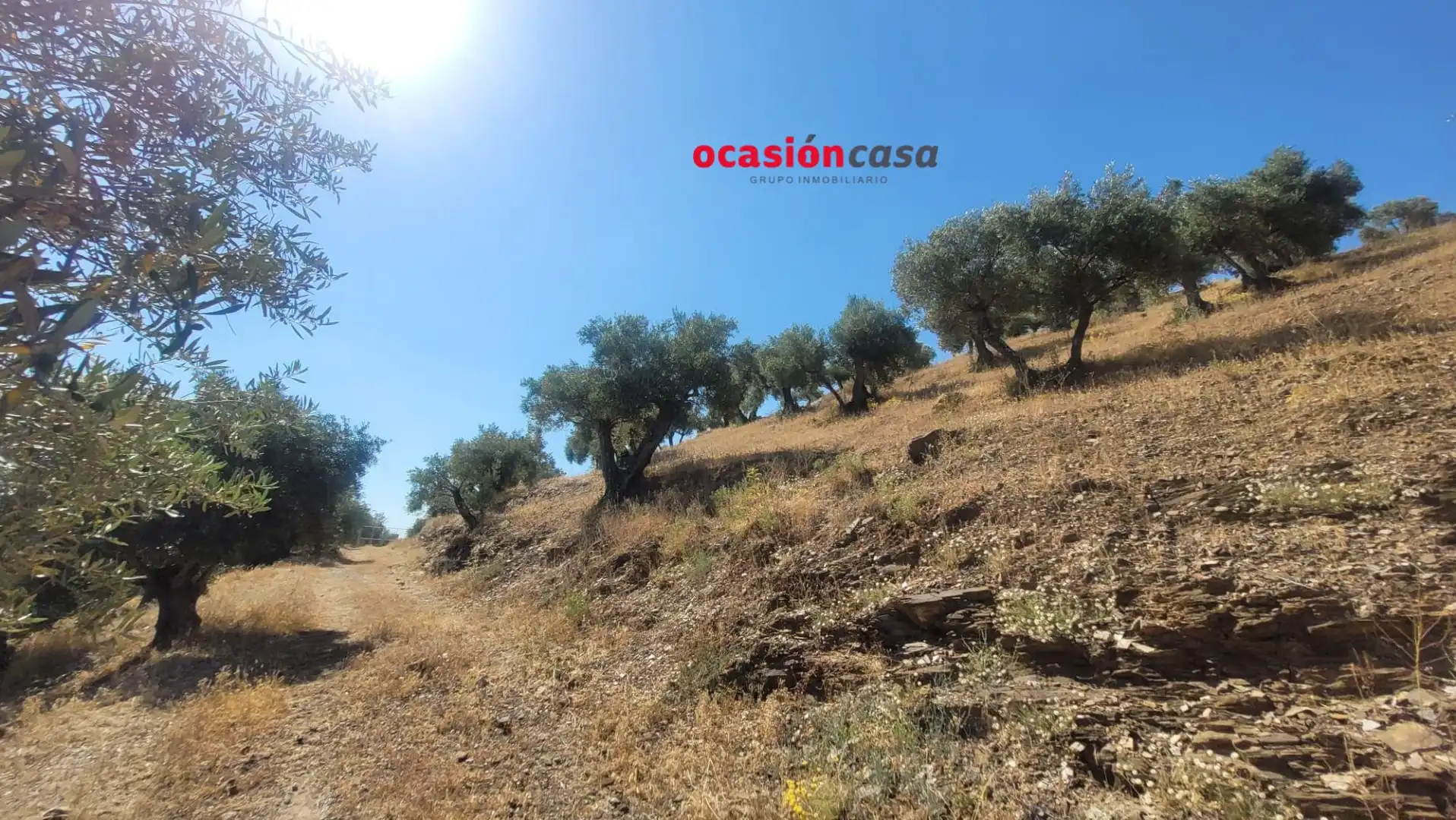 Finca rústica en venda en Pozoblanco amb Traster