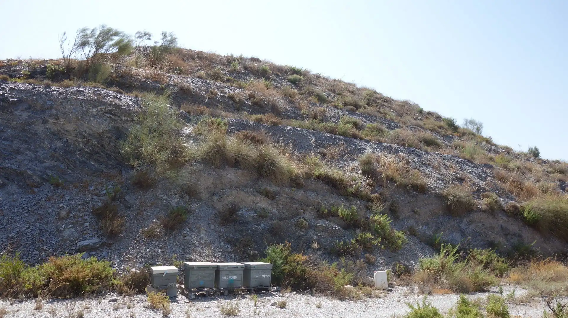 Vista exterior de Finca rústica en venda en Motril amb Terrassa i Moblat