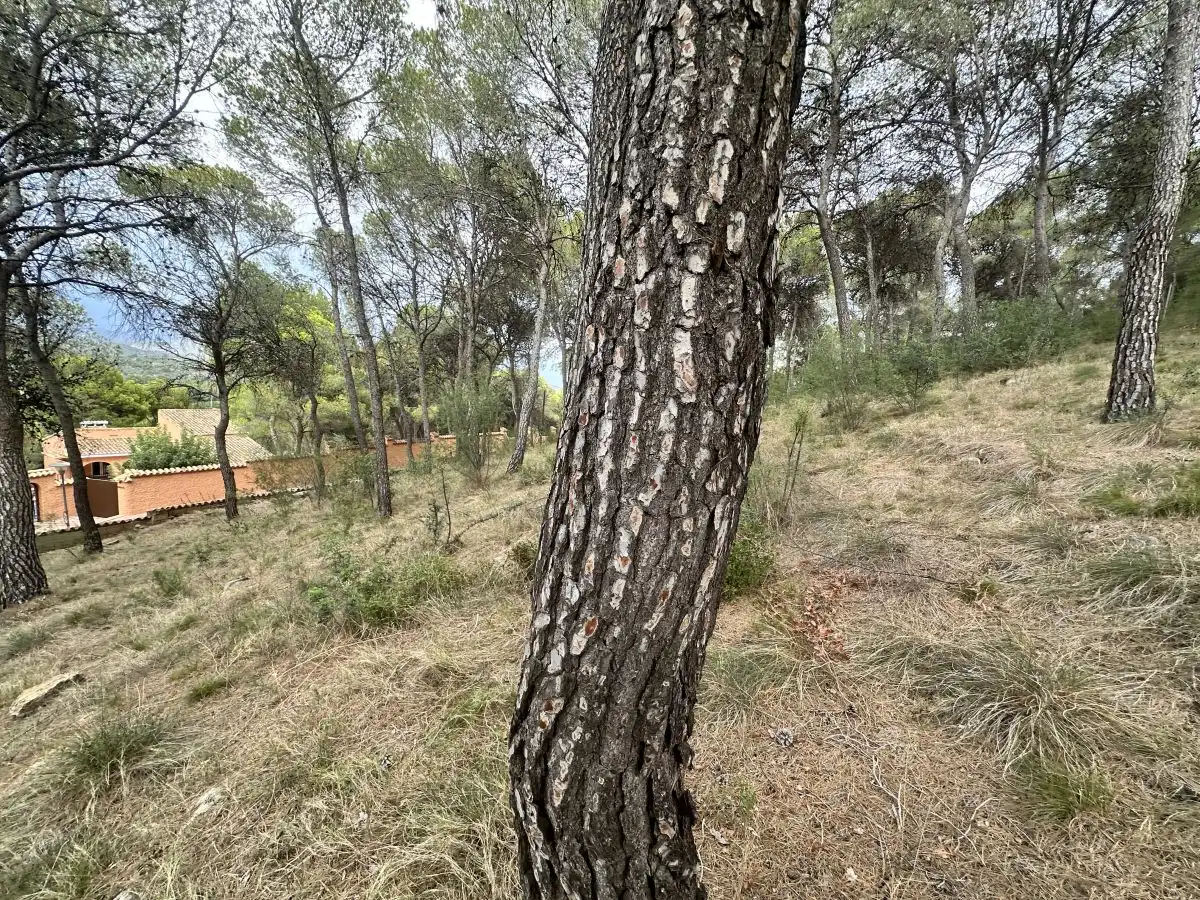 Wohnbaugrundstück zum Verkauf in Torres Torres, imagen 39