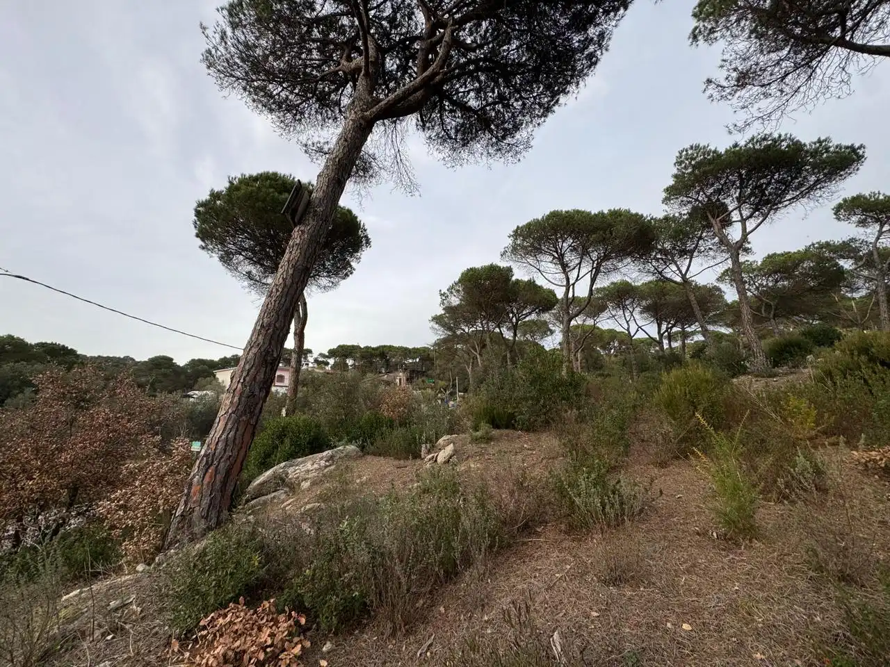 Terrenos y solares en venta en Carrer Vallès, imagen 3