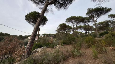 Solar edificable de 2.600mt en Vilanova del Vallés, imatge 3