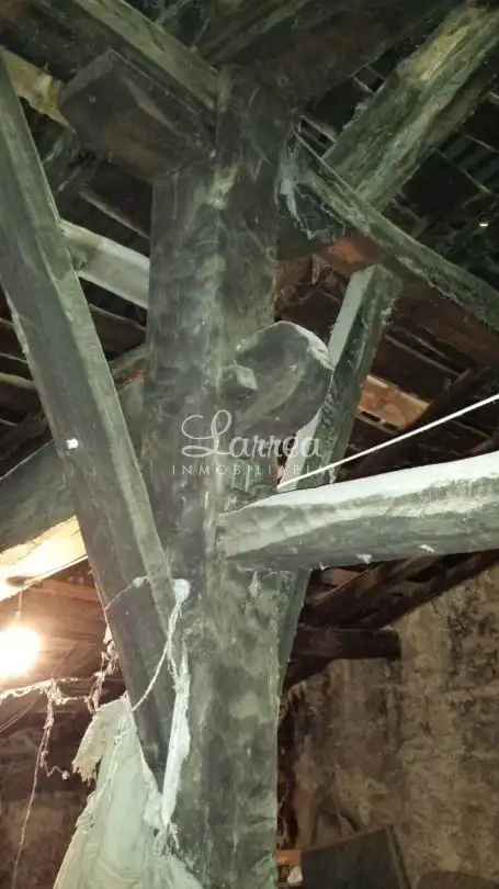 Jardí de Finca rústica en venda en Larrabetzu amb Jardí privat i Balcó