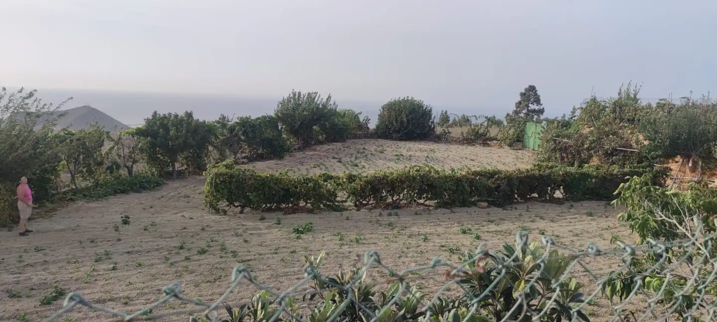 Houses for sale in Granadilla de Abona