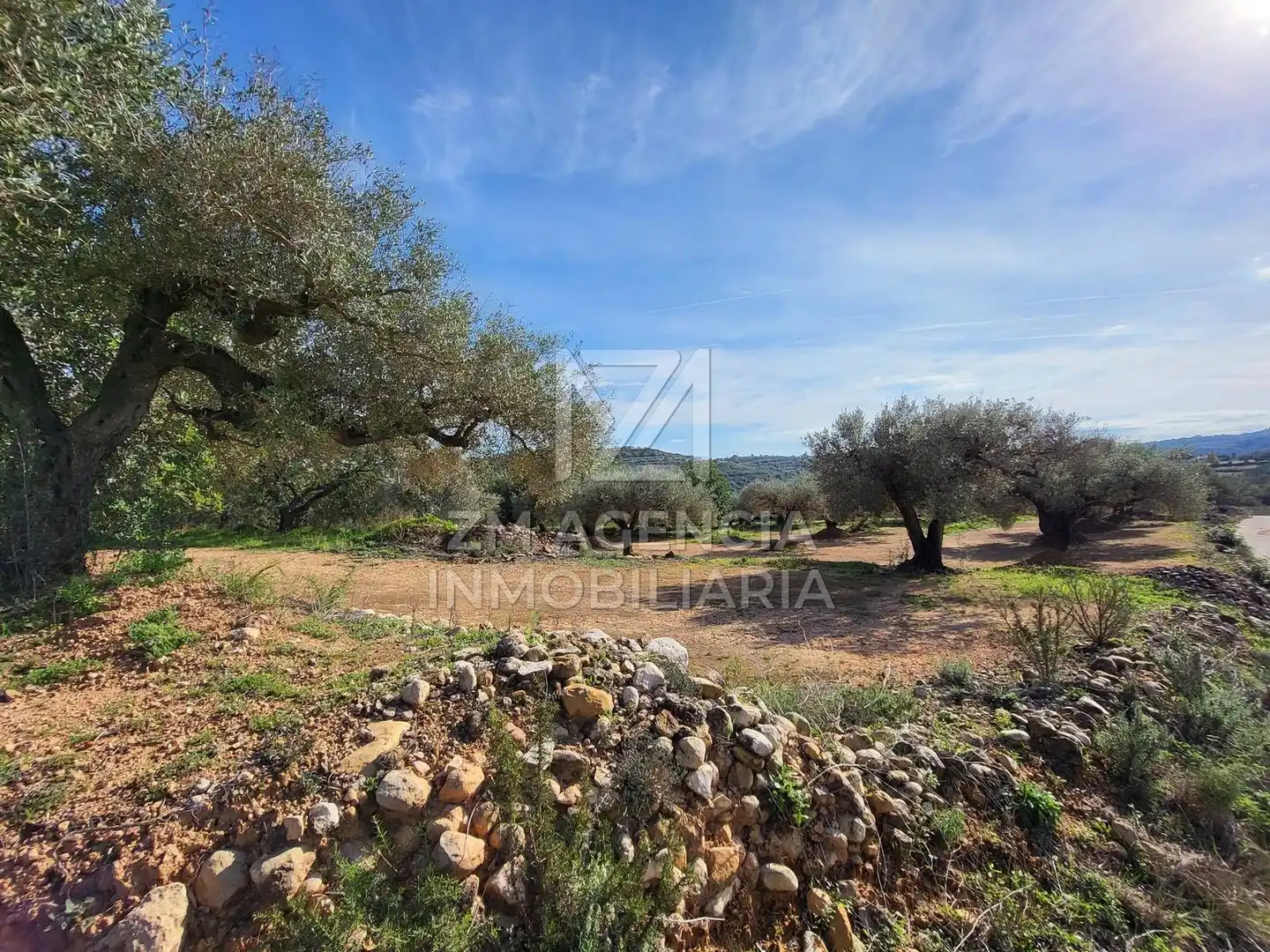 Terreno rustico in vendita a Traiguera, imagen 3